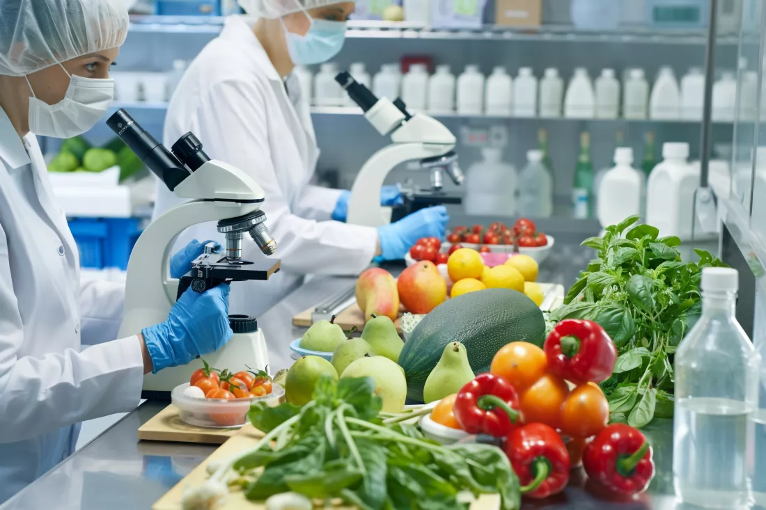 Food Engineering study